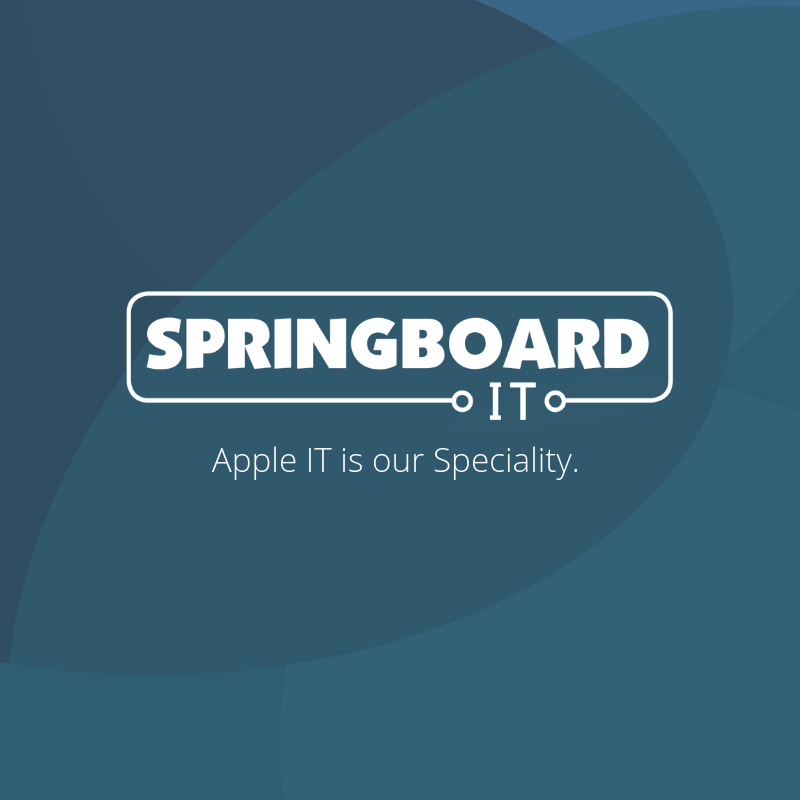 /assets/https:/cdn2.hubspot.net/hubfs/4269809/springboard-it-1-1736179215.png